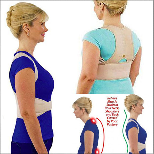 Royal Posture Back Support Belt